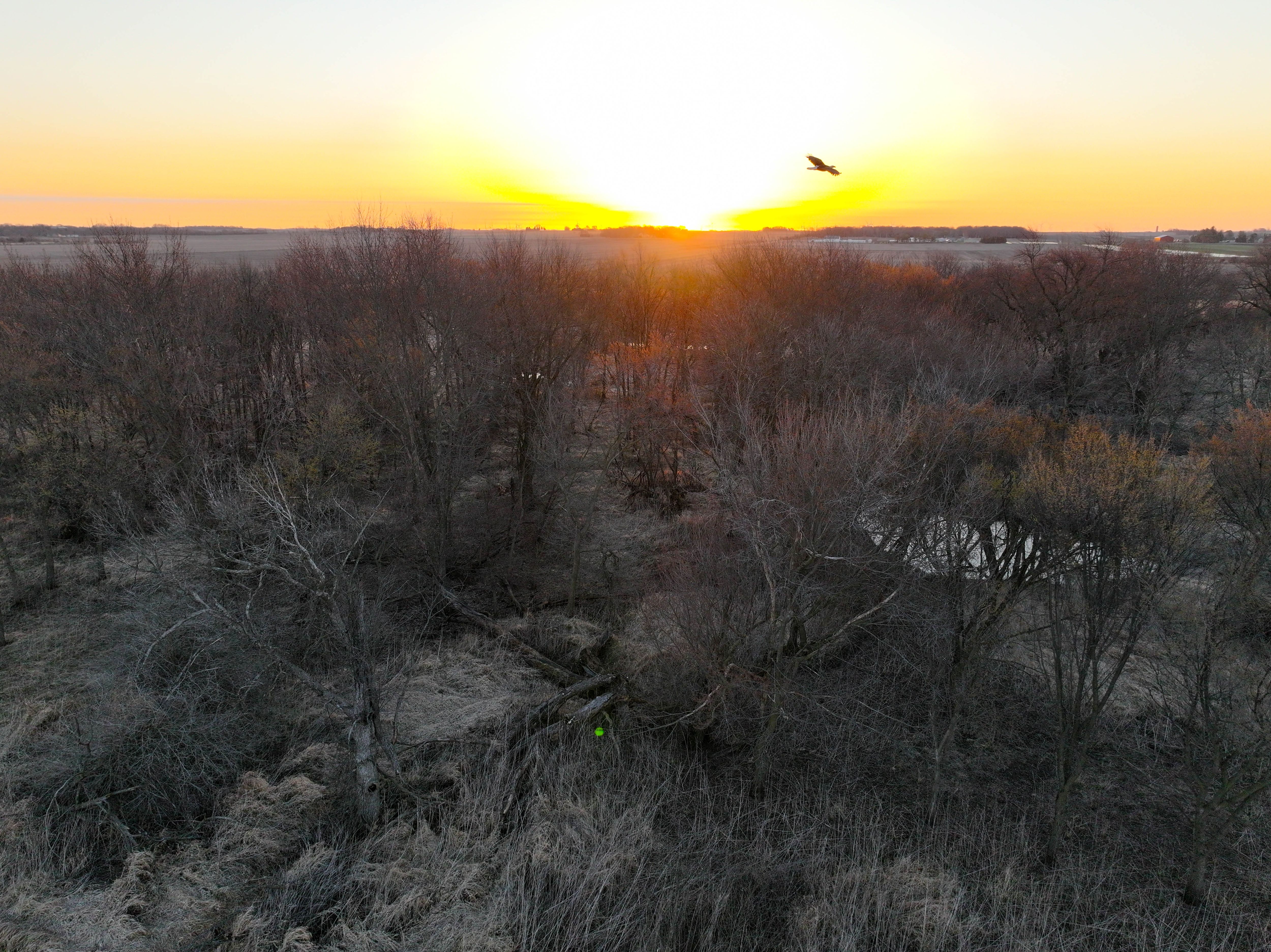 Listing Photo: 26_Northern Iowa CRP Farm For Sale